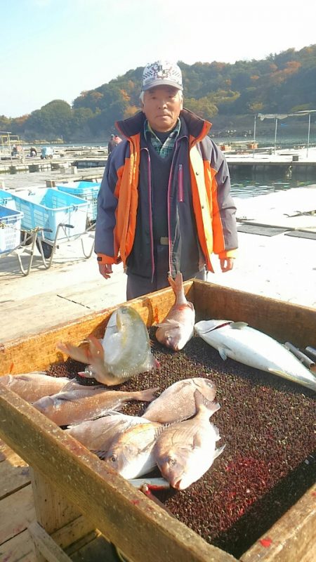 海の釣堀 海恵 釣果