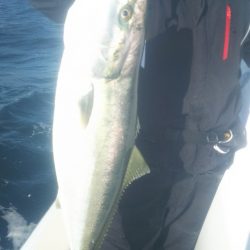 ブルドック 釣果