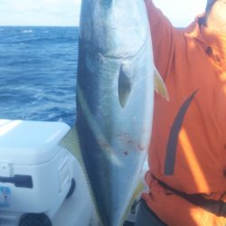 ブルドック 釣果