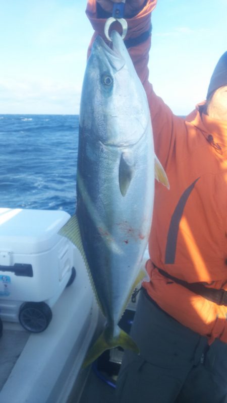 ブルドック 釣果