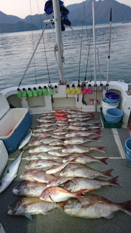 ARCADIAⅡ （アルカディアⅡ） 釣果…