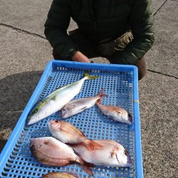 第三共栄丸 釣果