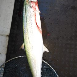 第二龍勢丸 釣果