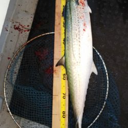 第二龍勢丸 釣果