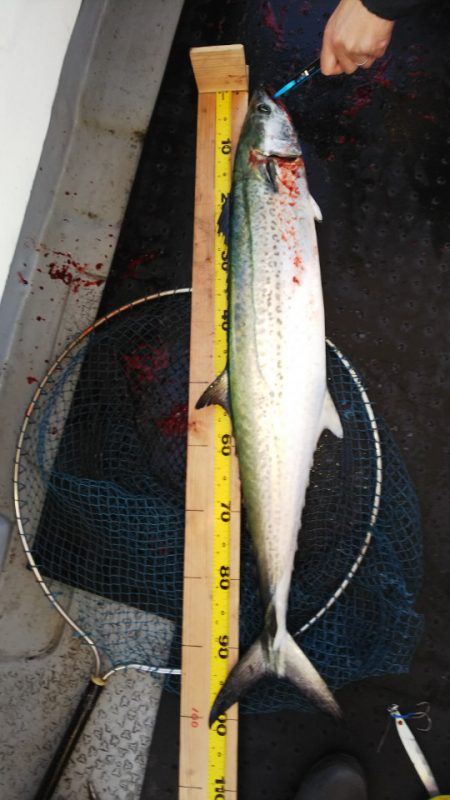 第二龍勢丸 釣果