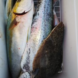 第二龍勢丸 釣果