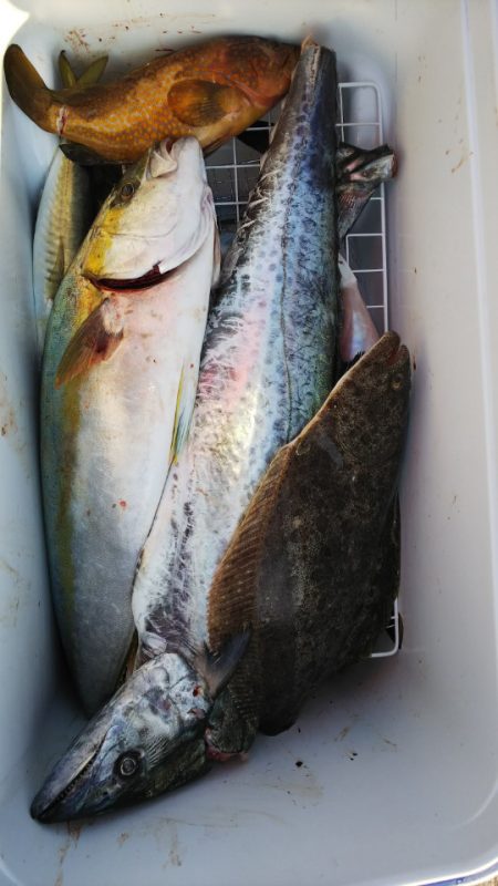 第二龍勢丸 釣果