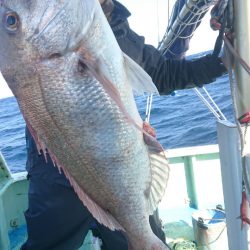 だて丸 釣果