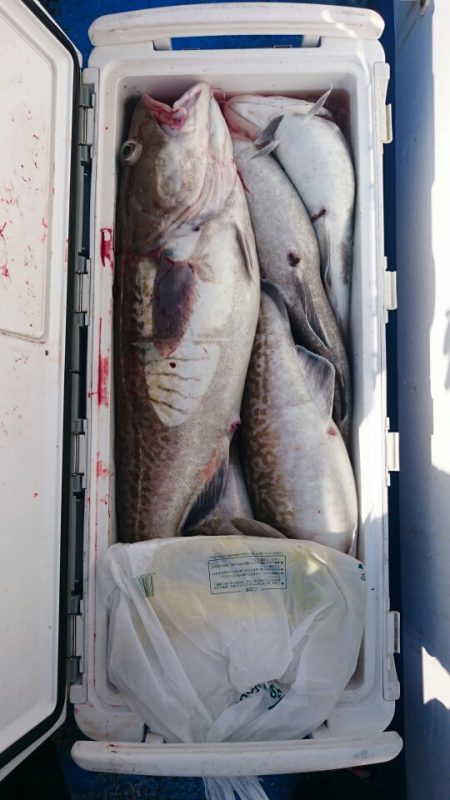 海龍丸(石川) 釣果