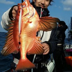 鷹王丸 釣果