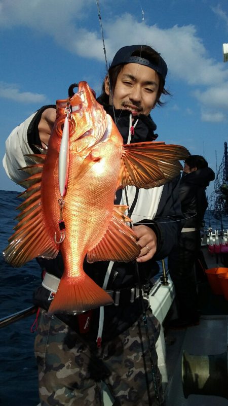 鷹王丸 釣果