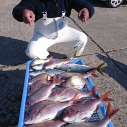 第三共栄丸 釣果