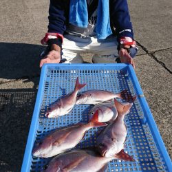 第三共栄丸 釣果