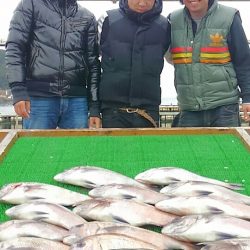 海の釣堀 海恵 釣果