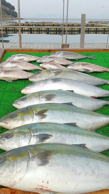 海の釣堀 海恵 釣果
