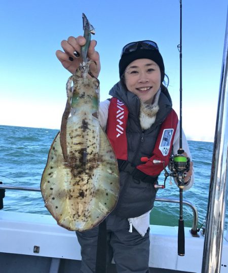 South Current 釣果