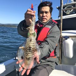 South Current 釣果