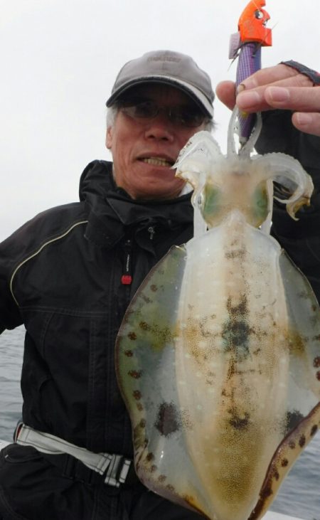 ブルースフィッシングサービス 釣果