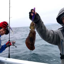 South Current 釣果