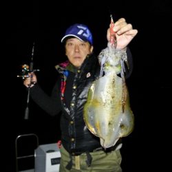 South Current 釣果