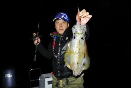 South Current 釣果