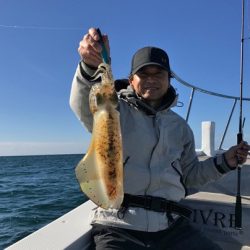 South Current 釣果