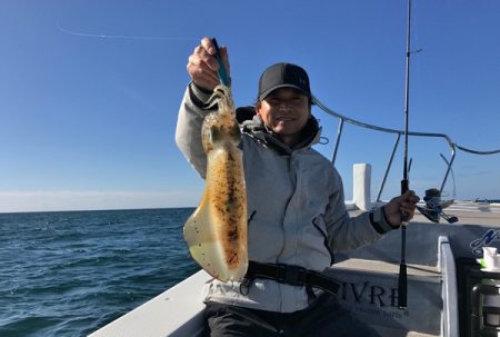 South Current 釣果