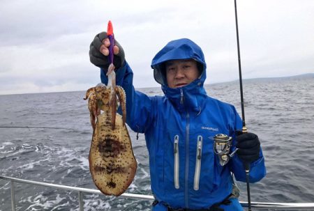 South Current 釣果