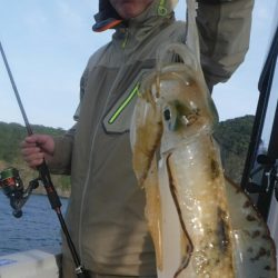 ブルースフィッシングサービス 釣果