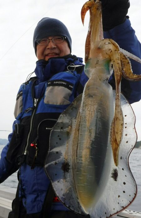 ブルースフィッシングサービス 釣果