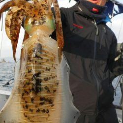 ブルースフィッシングサービス 釣果