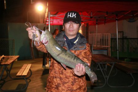 としまえんフィッシングエリア 釣果