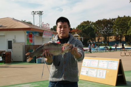 としまえんフィッシングエリア 釣果