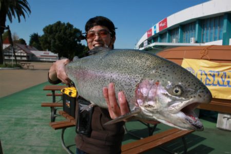 としまえんフィッシングエリア 釣果