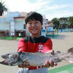 としまえんフィッシングエリア 釣果