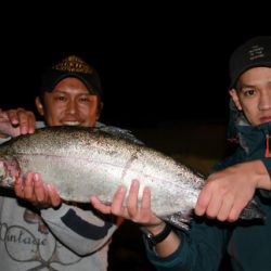 としまえんフィッシングエリア 釣果