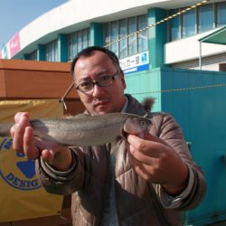 としまえんフィッシングエリア 釣果