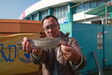 としまえんフィッシングエリア 釣果