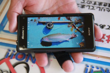 としまえんフィッシングエリア 釣果