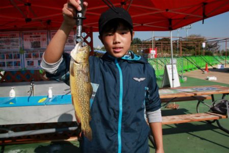 としまえんフィッシングエリア 釣果