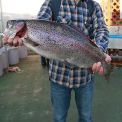 としまえんフィッシングエリア 釣果