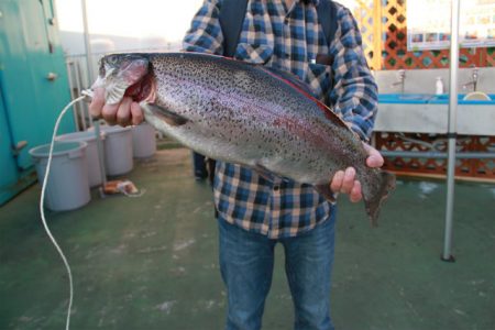 としまえんフィッシングエリア 釣果