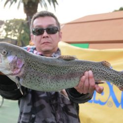 としまえんフィッシングエリア 釣果