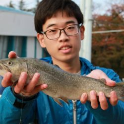 としまえんフィッシングエリア 釣果