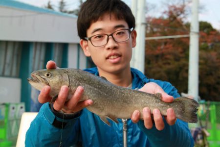 としまえんフィッシングエリア 釣果