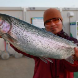 としまえんフィッシングエリア 釣果