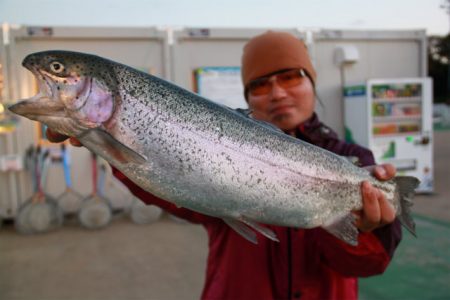 としまえんフィッシングエリア 釣果