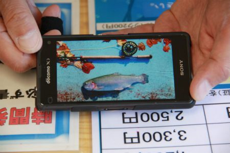 としまえんフィッシングエリア 釣果