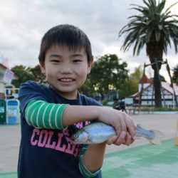 としまえんフィッシングエリア 釣果