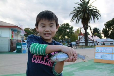 としまえんフィッシングエリア 釣果